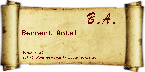 Bernert Antal névjegykártya